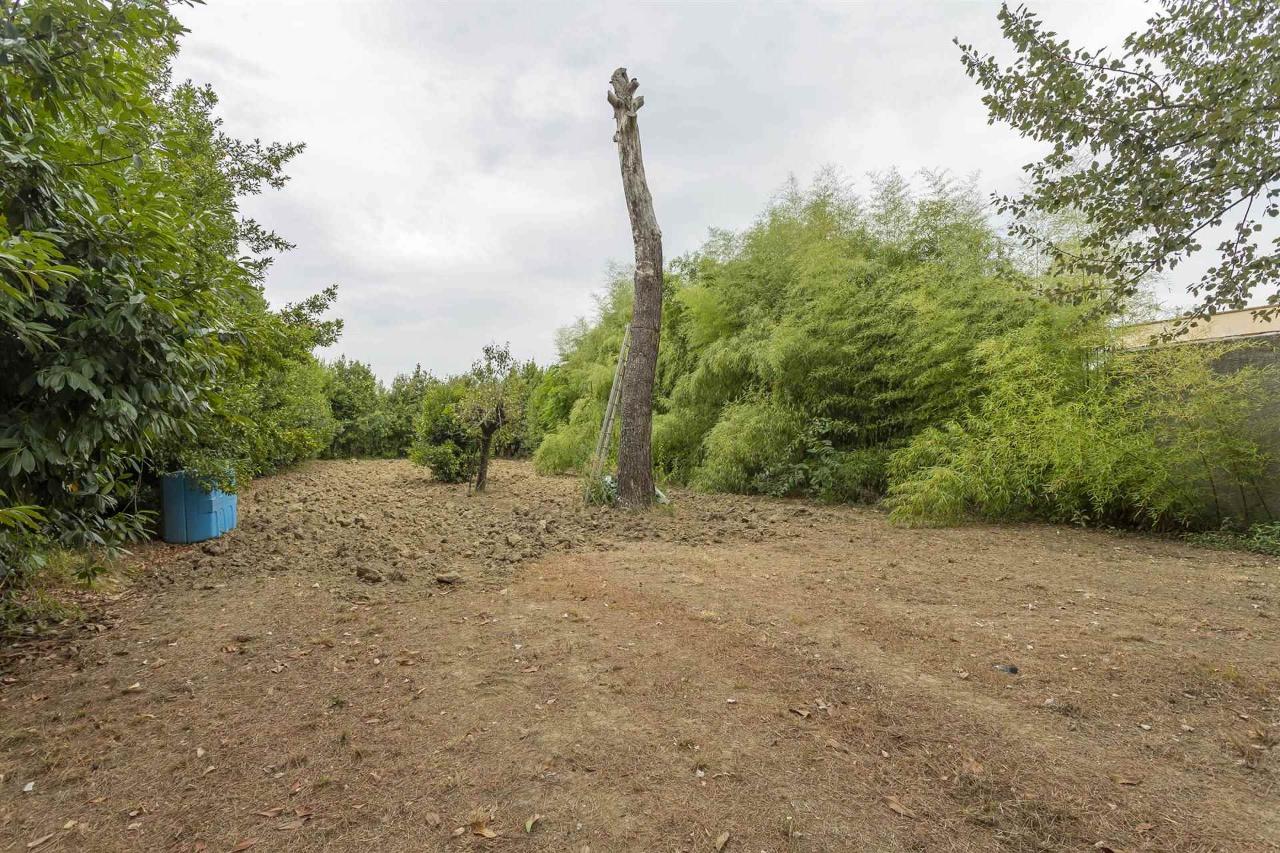 immagine annuncio 10 di 12