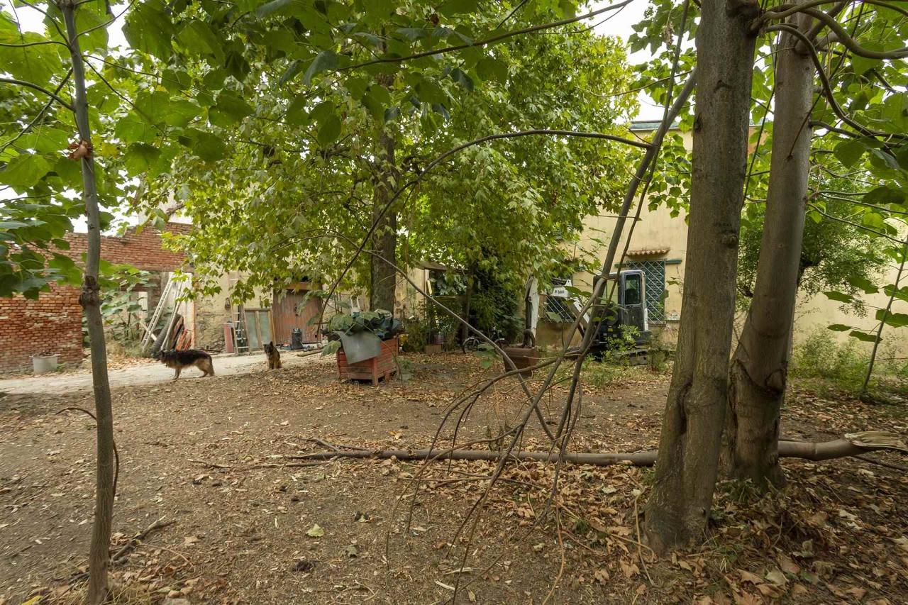 immagine annuncio 1 di 12