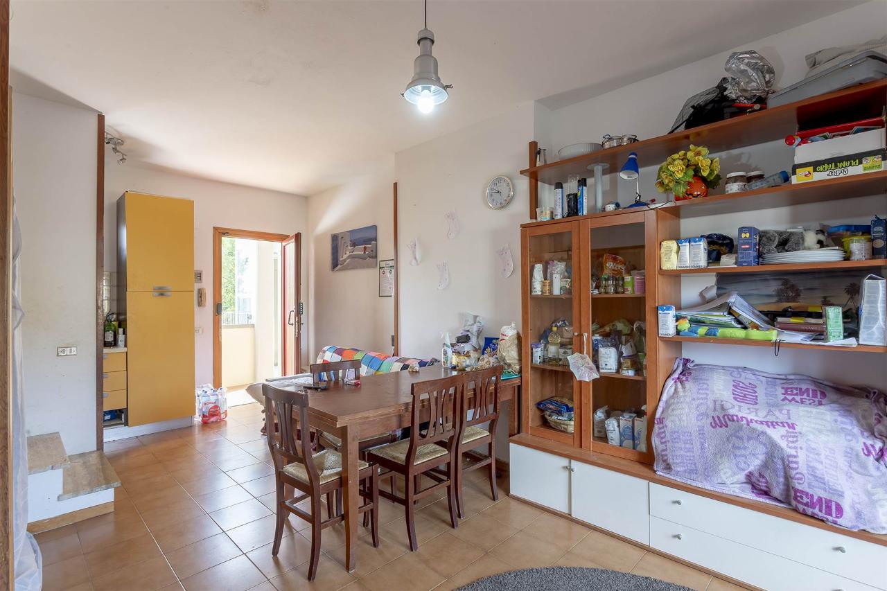 immagine annuncio 5 di 12