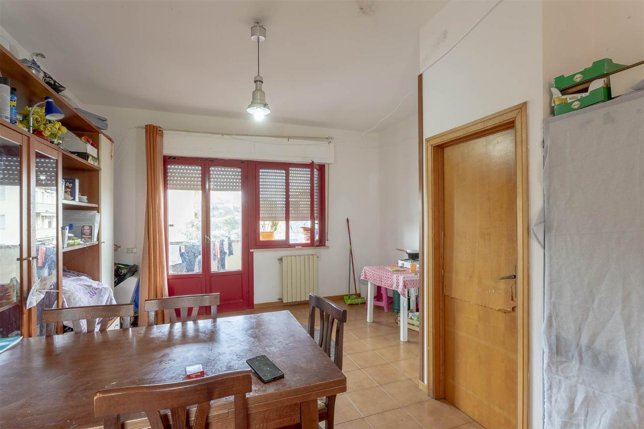 immagine annuncio 2 di 12