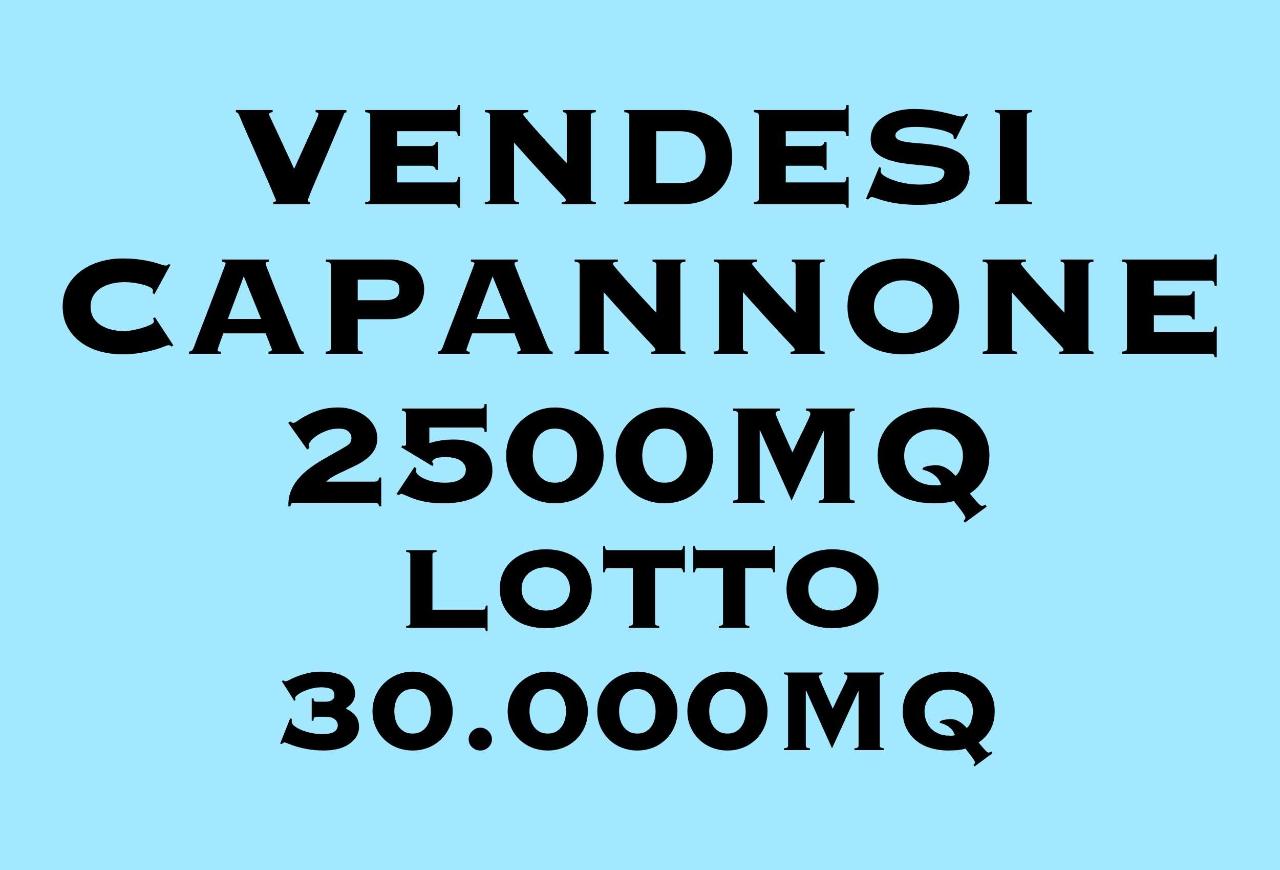 Capannone in Via Selice, Imola, {3} - Foto 2