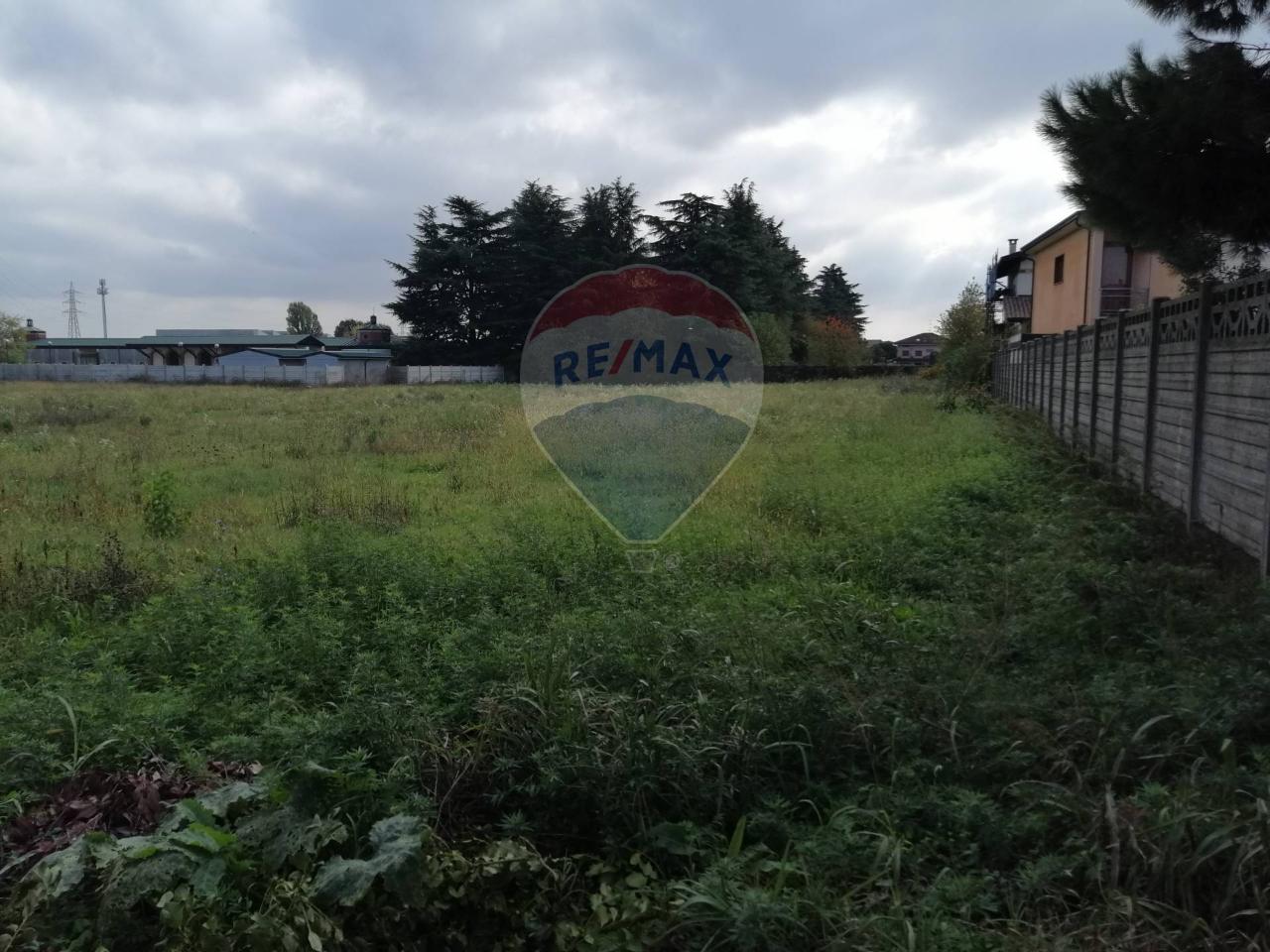 immagine annuncio 1 di 7