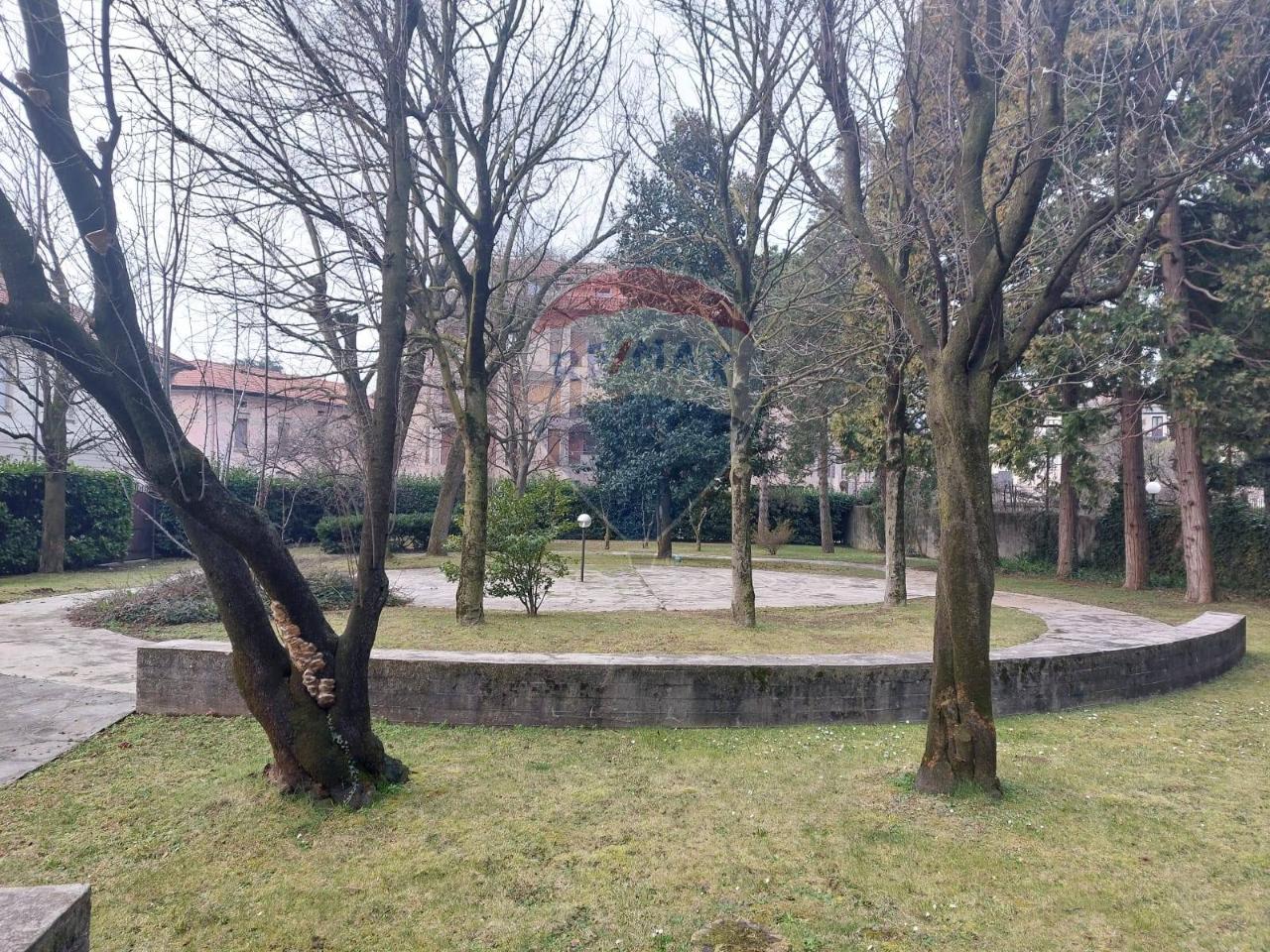 immagine annuncio 11 di 14