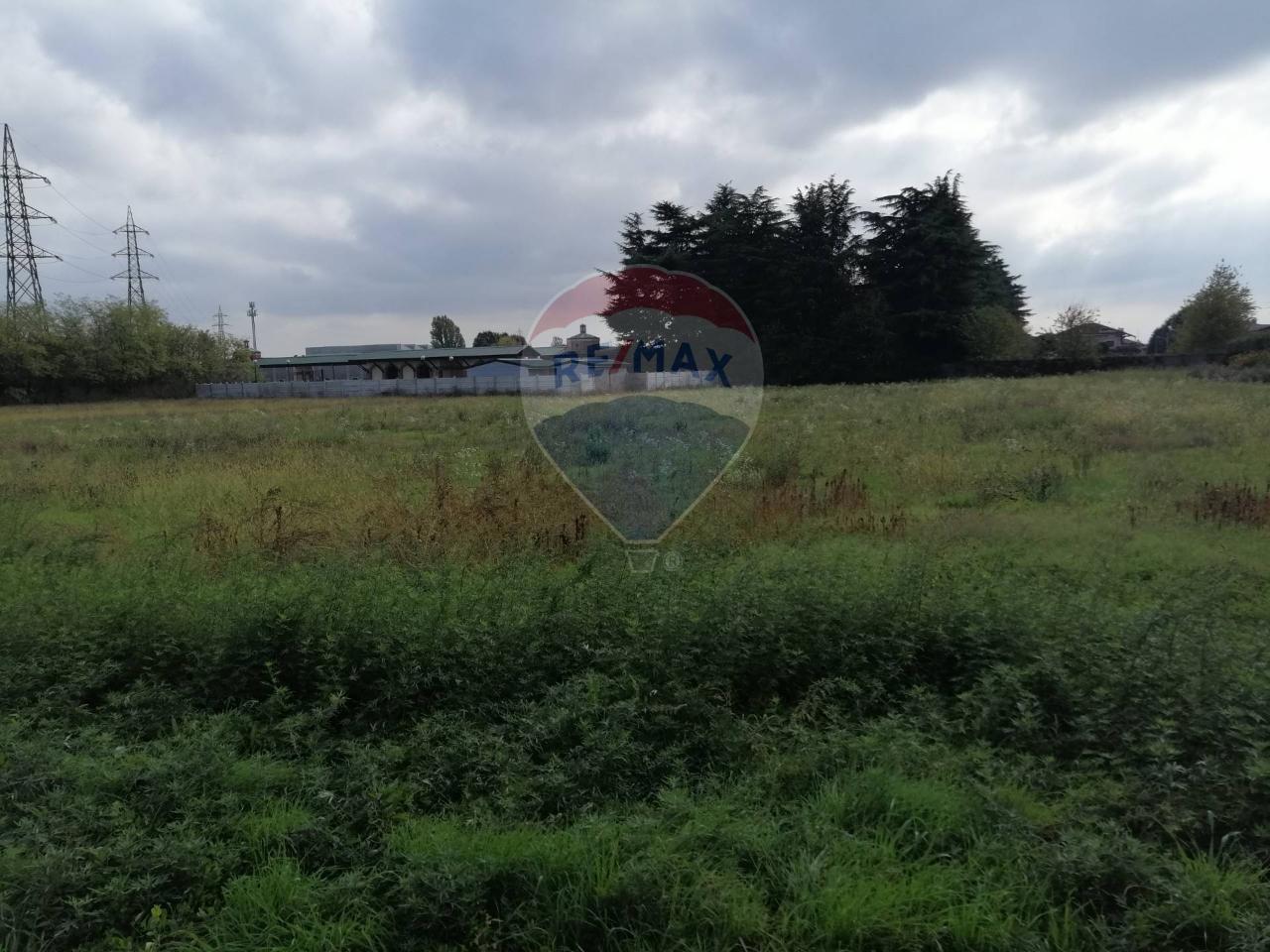 immagine annuncio 4 di 7