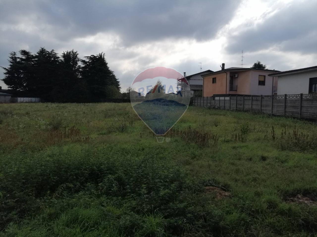 immagine annuncio 3 di 7