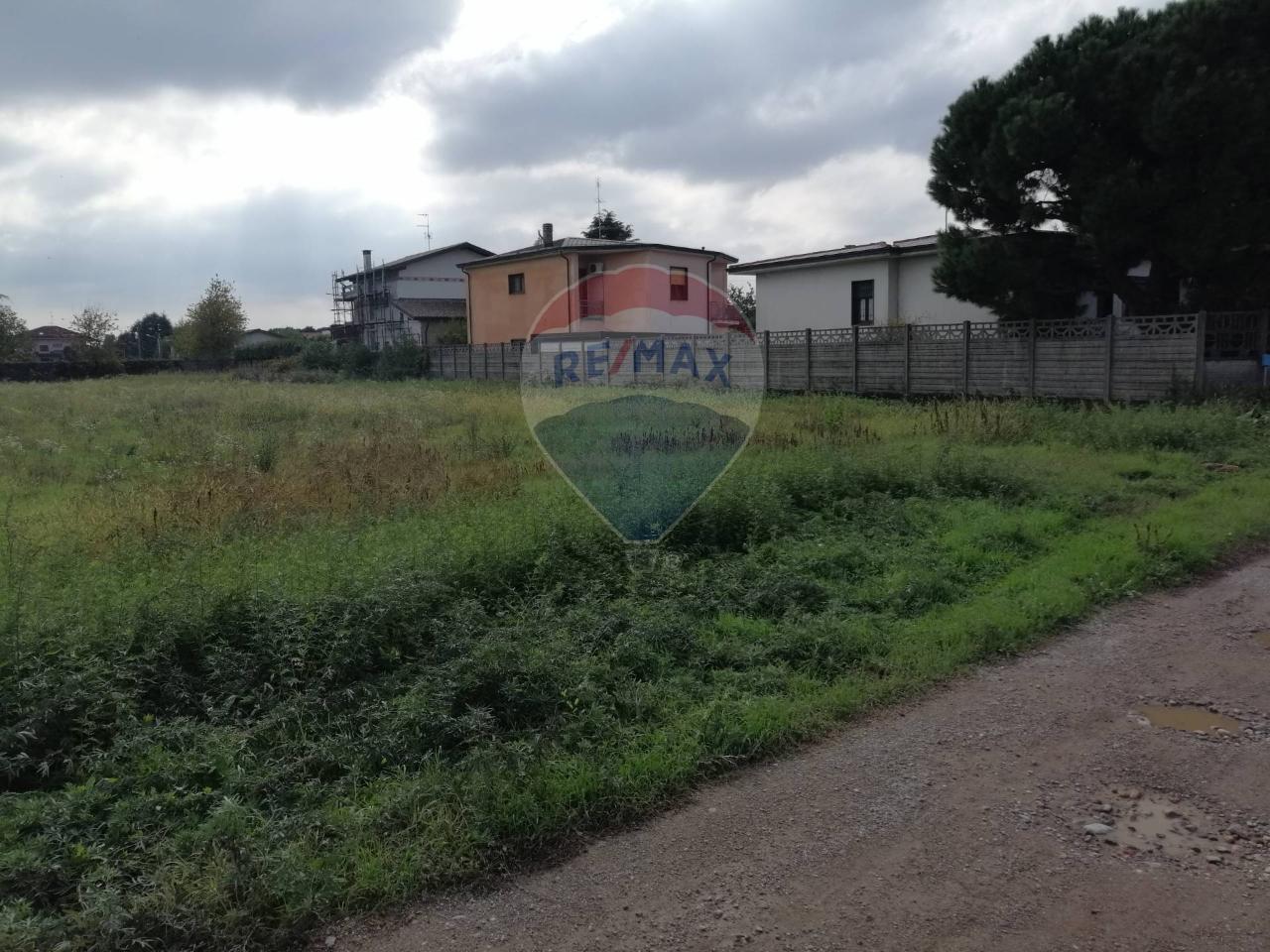 immagine annuncio 5 di 7