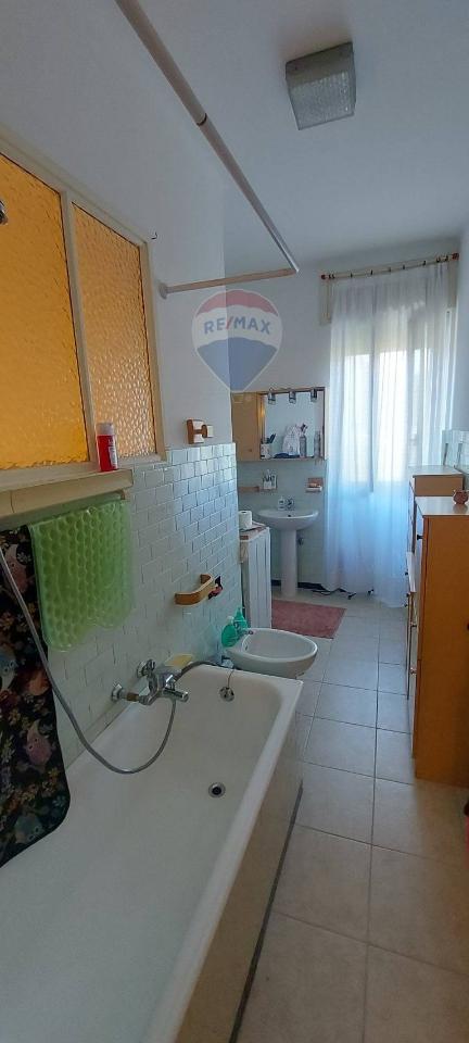 immagine annuncio 9 di 14