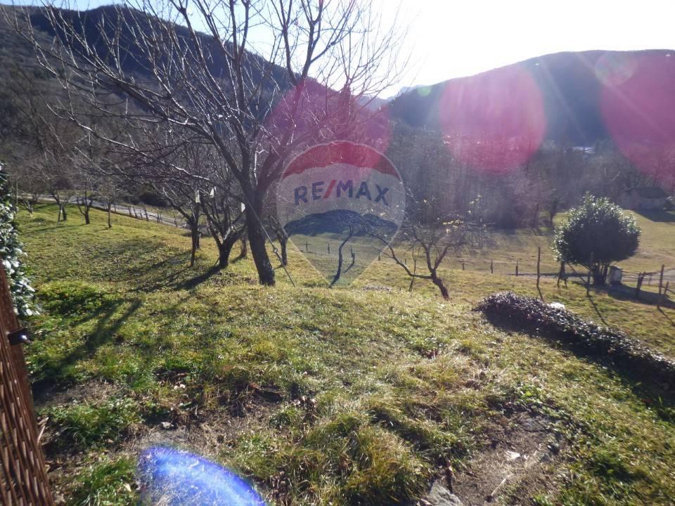 immagine annuncio 1 di 8