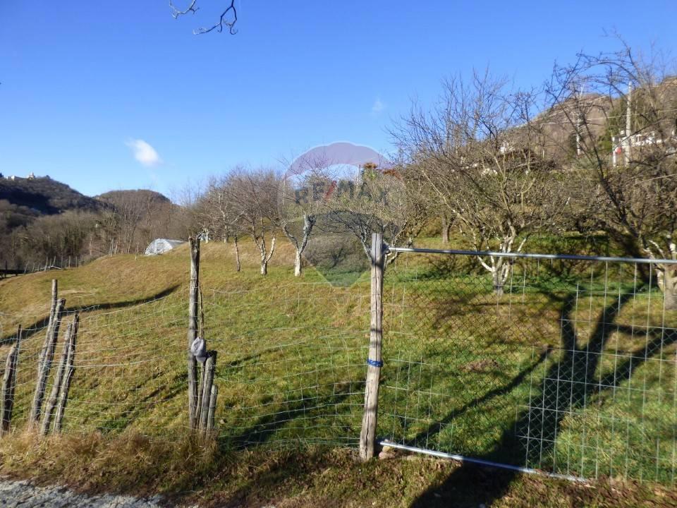 immagine annuncio 4 di 8