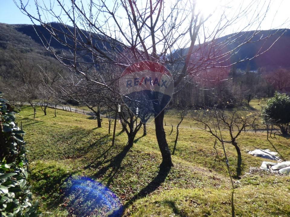 immagine annuncio 3 di 8