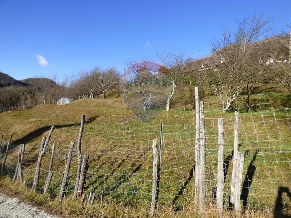 immagine annuncio 6 di 8