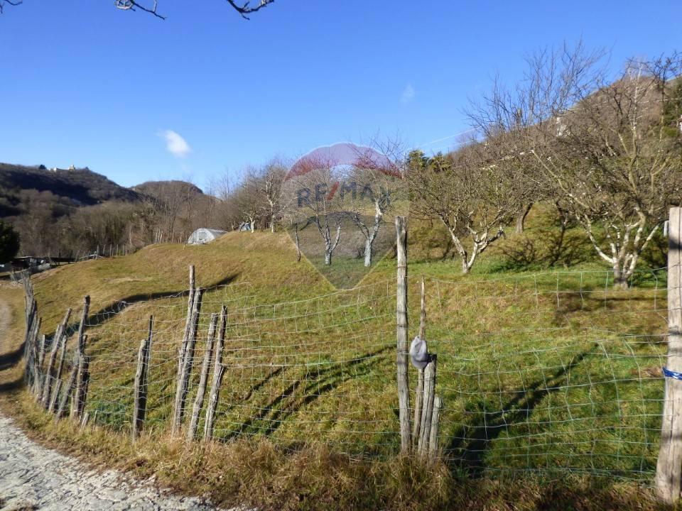 immagine annuncio 5 di 8