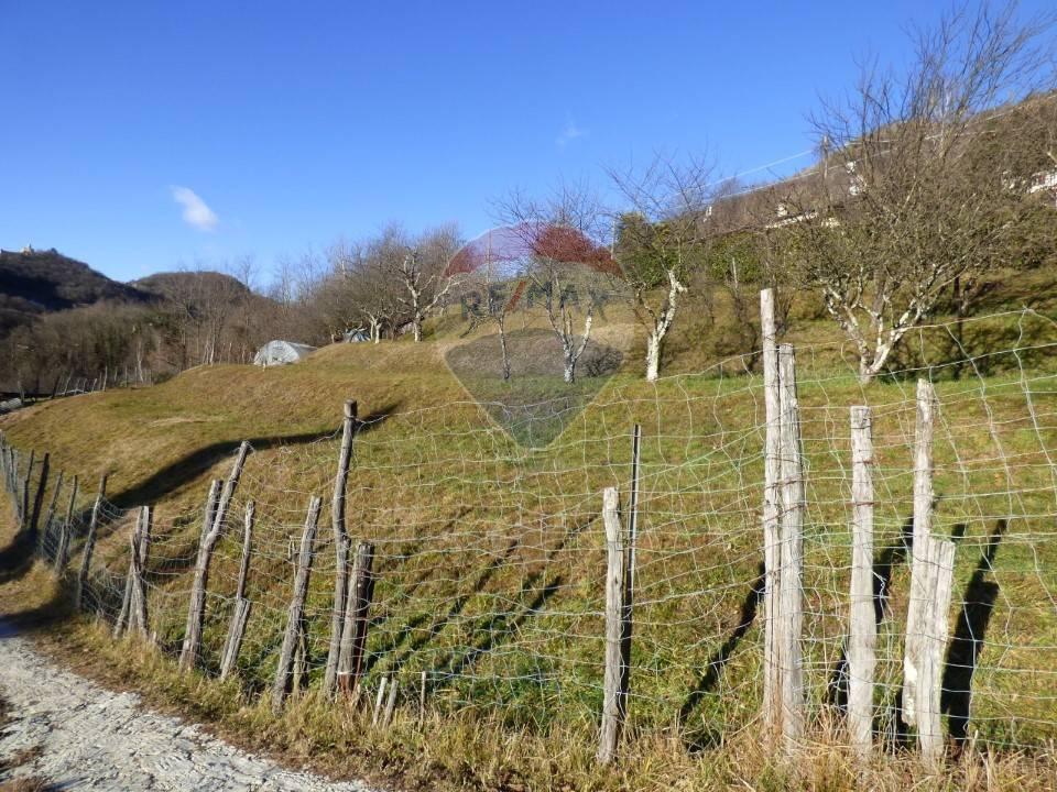 immagine annuncio 7 di 8