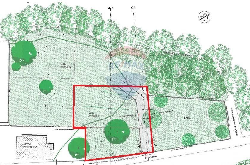 immagine annuncio 7 di 8