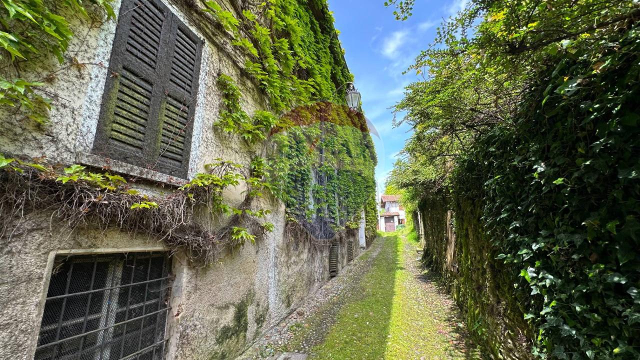 immagine annuncio 1 di 14