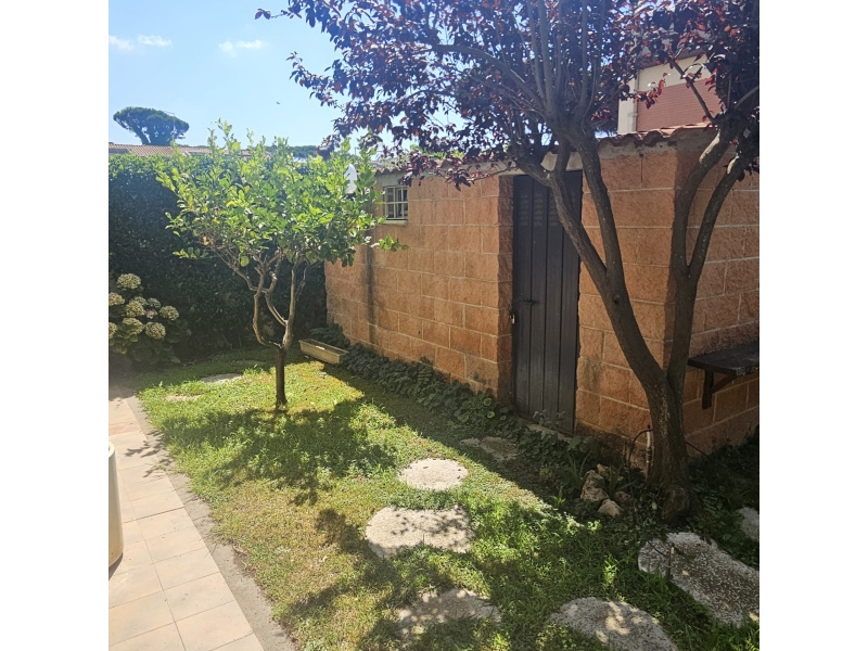 immagine annuncio 9 di 14