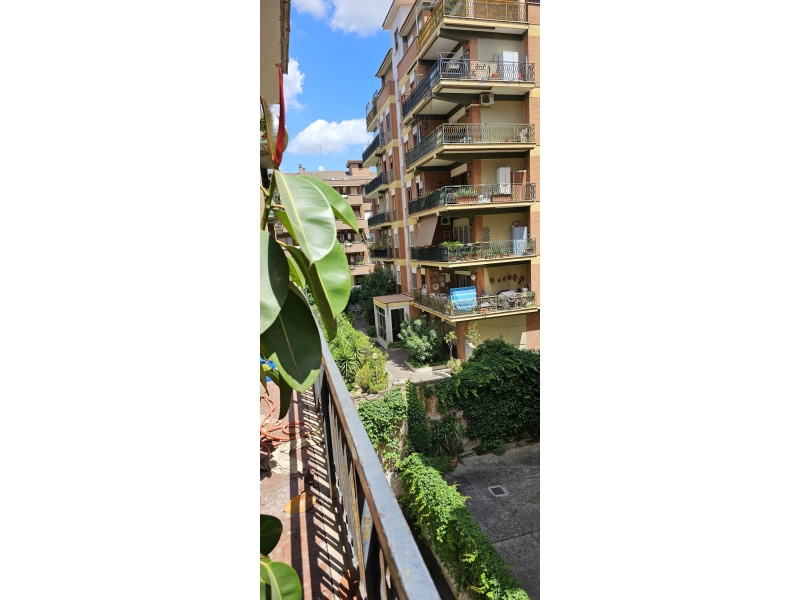 immagine annuncio 2 di 8