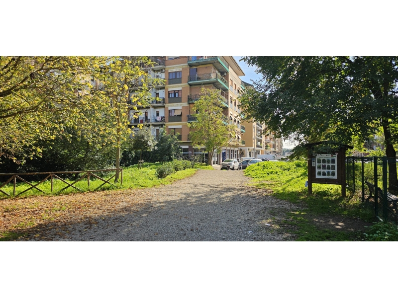 immagine annuncio 5 di 8