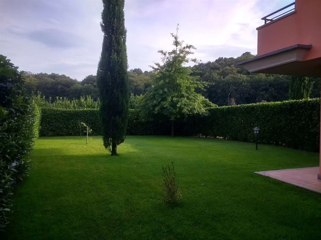 immagine annuncio 2 di 14