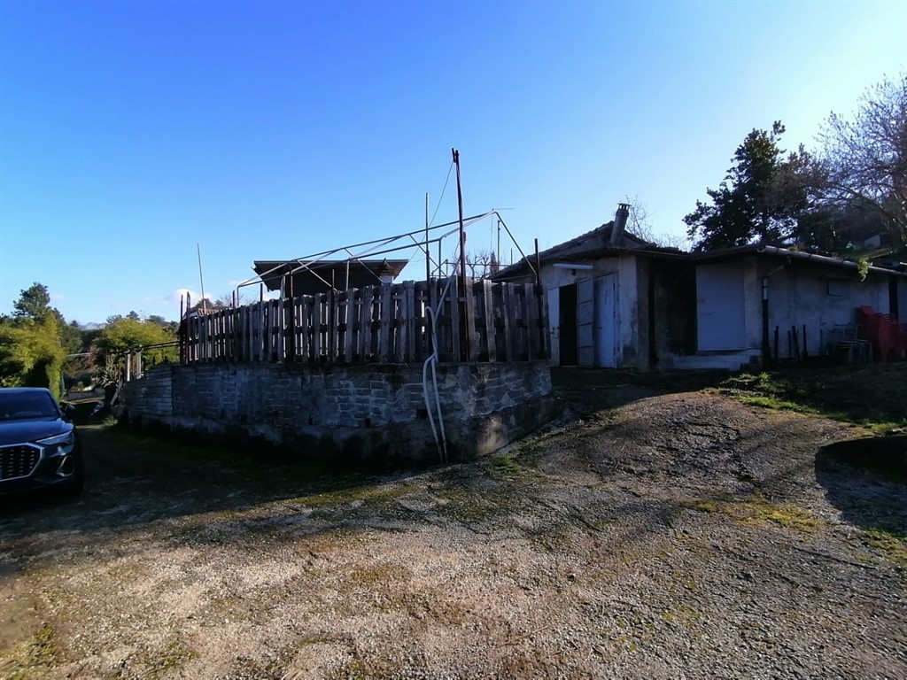 immagine annuncio 6 di 9