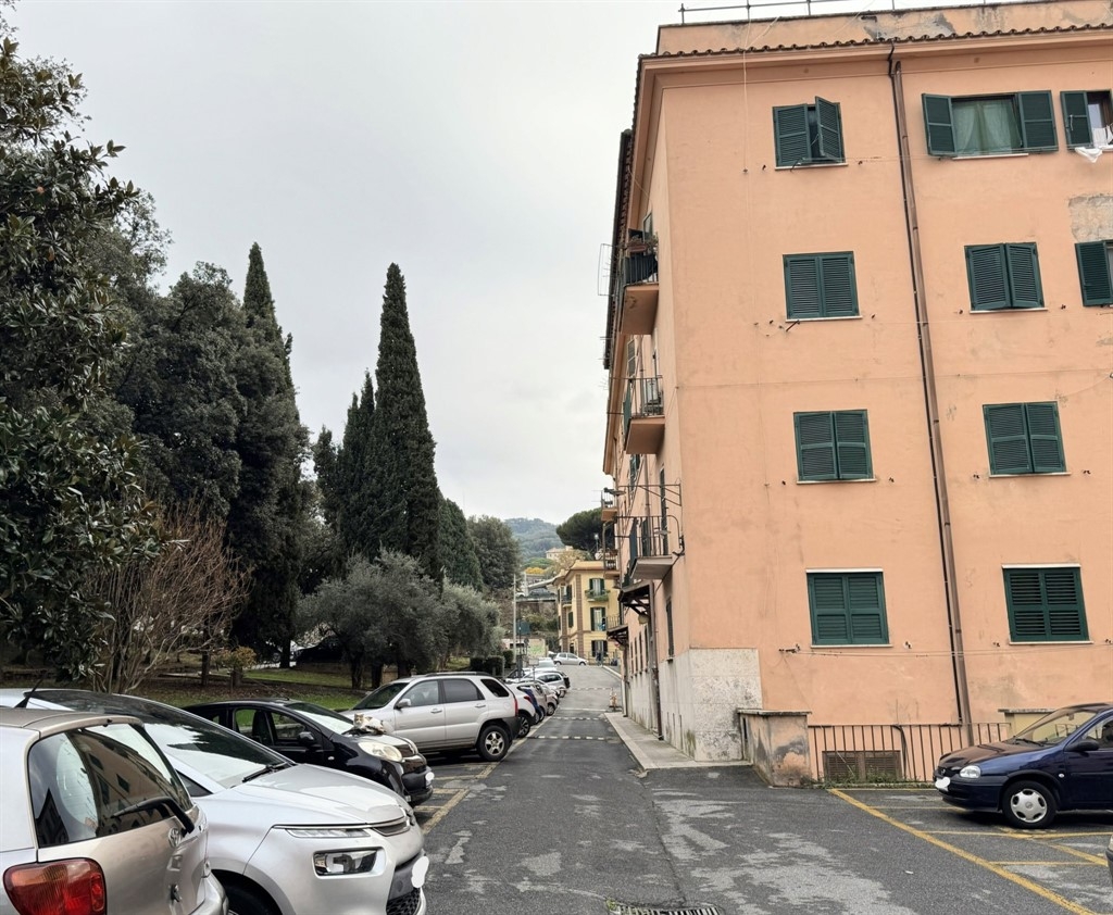 immagine annuncio 5 di 8