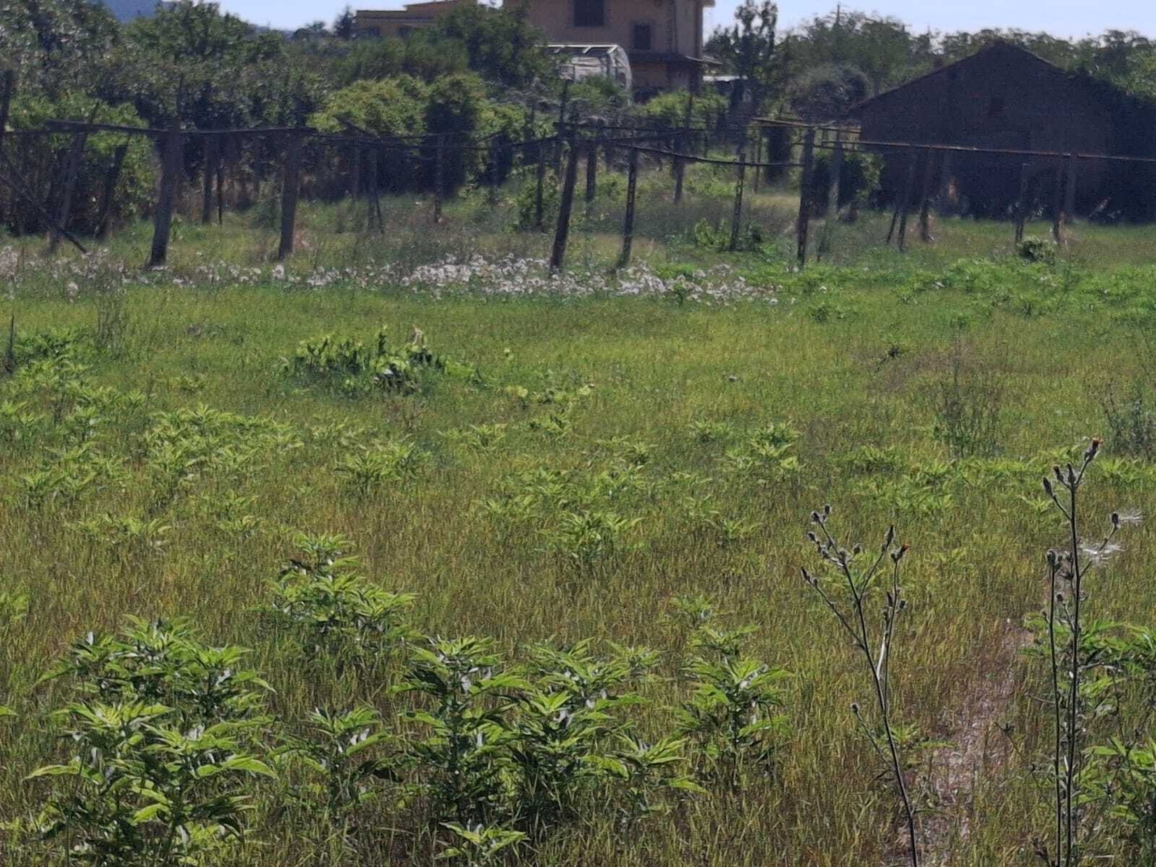 immagine annuncio 5 di 9