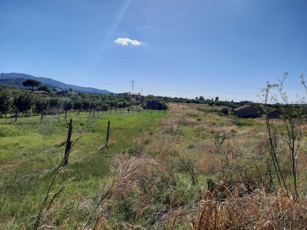 immagine annuncio 8 di 9