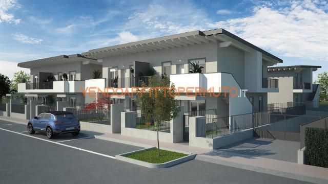 insertion image