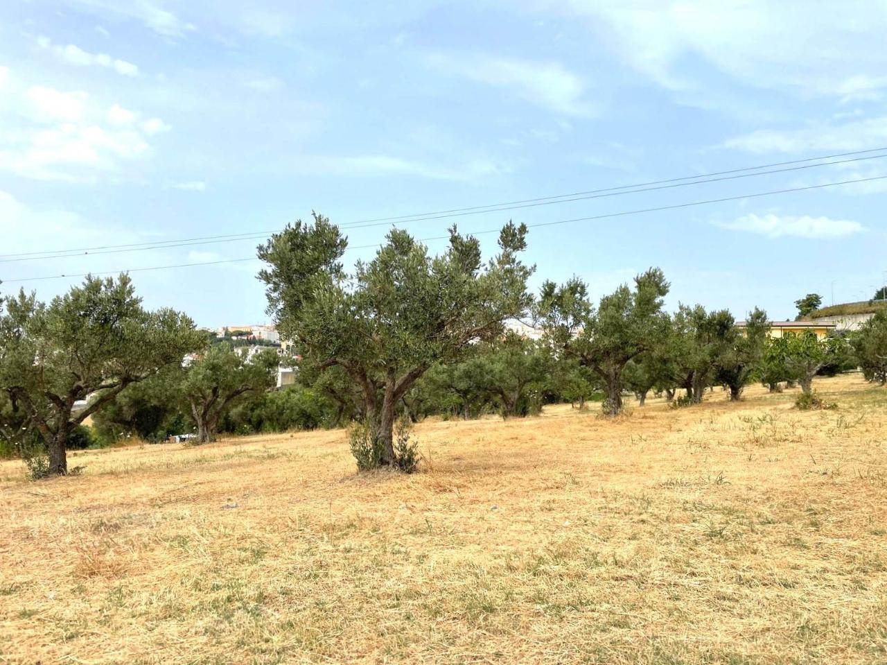 immagine annuncio 1 di 7