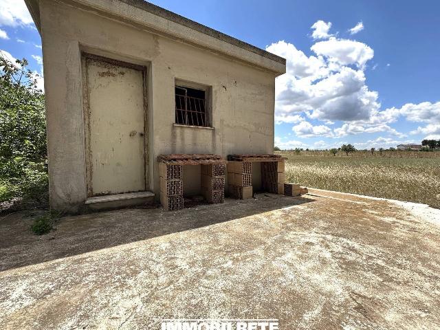 One-room flat in Strada Comunale Esterna Polisciazzo, Altamura - Photo 1