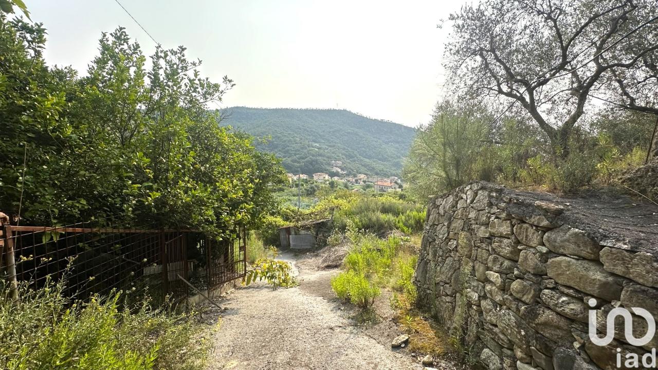immagine annuncio 3 di 7