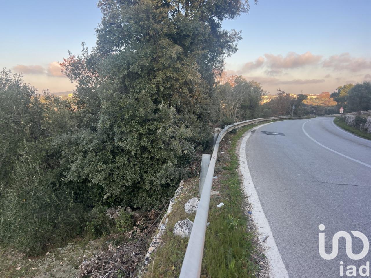 immagine annuncio 6 di 8
