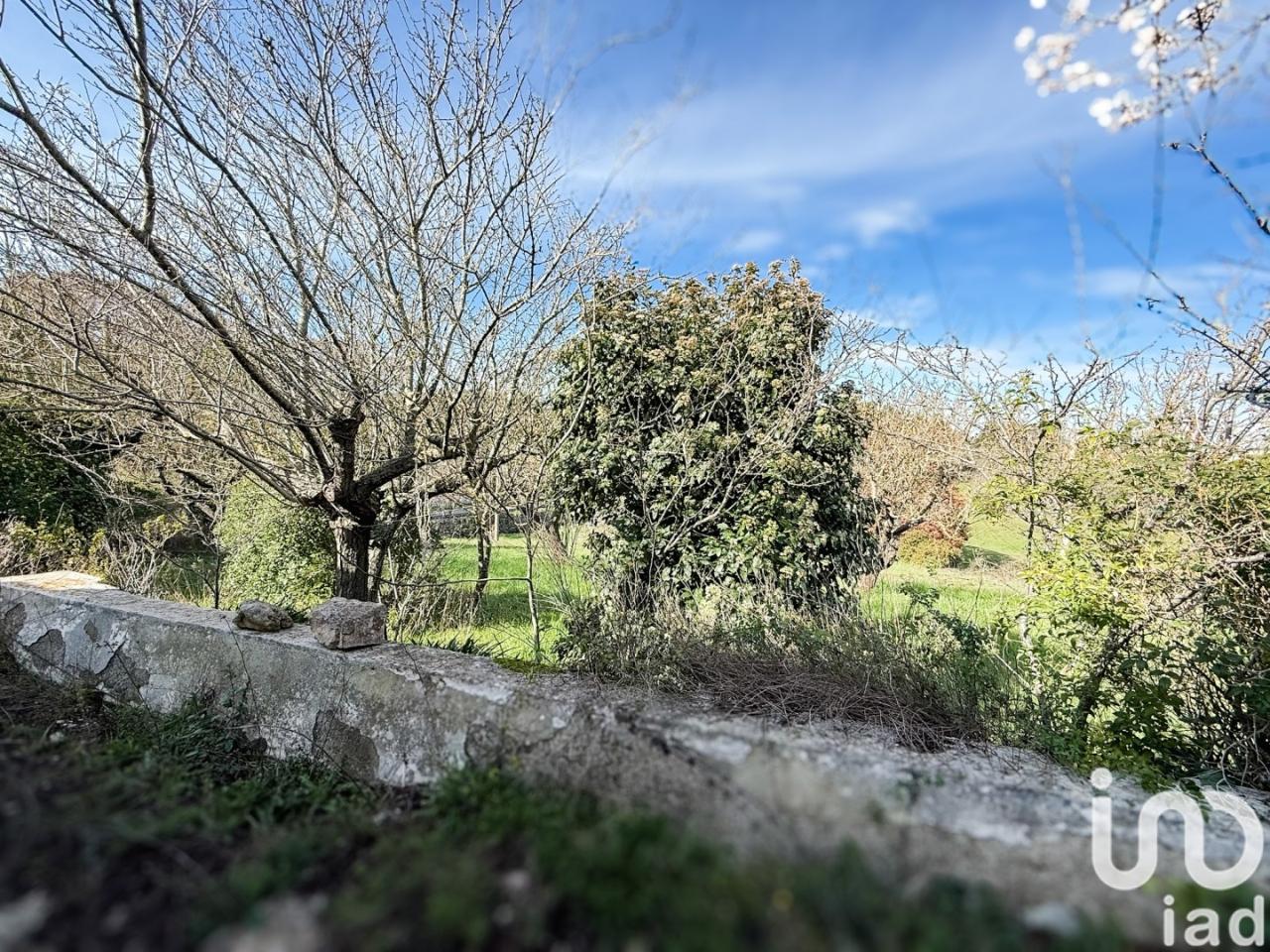 immagine annuncio 7 di 12