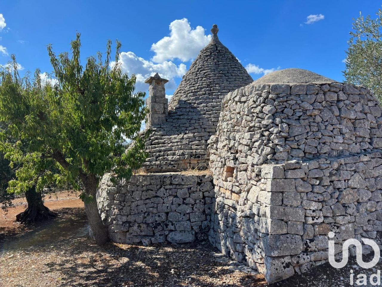 immagine annuncio 9 di 13