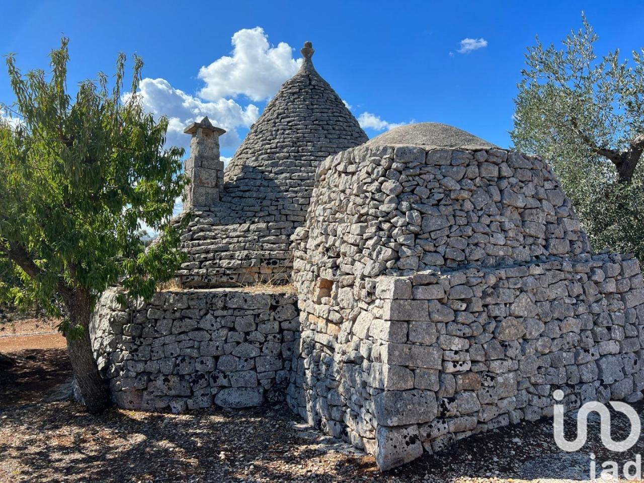 immagine annuncio 2 di 13