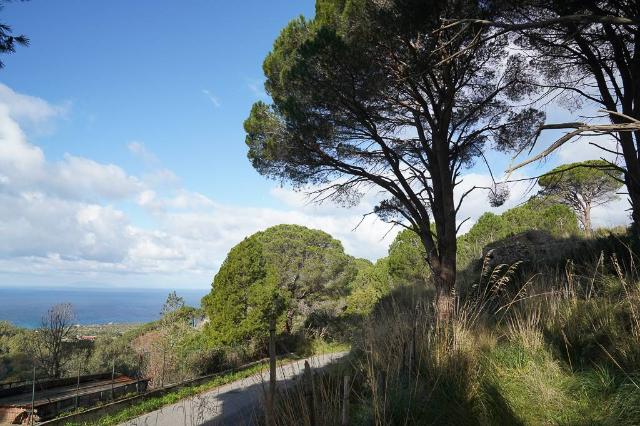 Terreno agricolo in {3}, Strada Provinciale - Foto 1