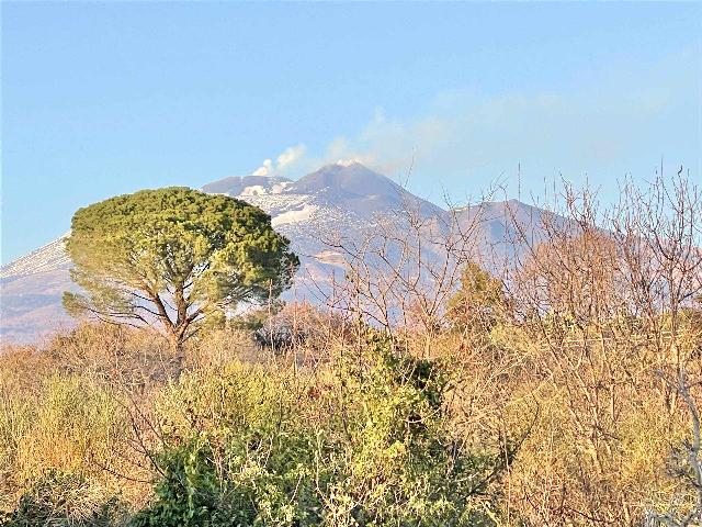 Terreno agricolo in Strada Comunale Raffo, Belpasso - Foto 1