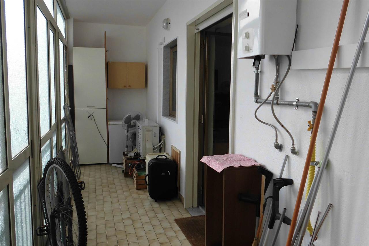 immagine annuncio 4 di 14