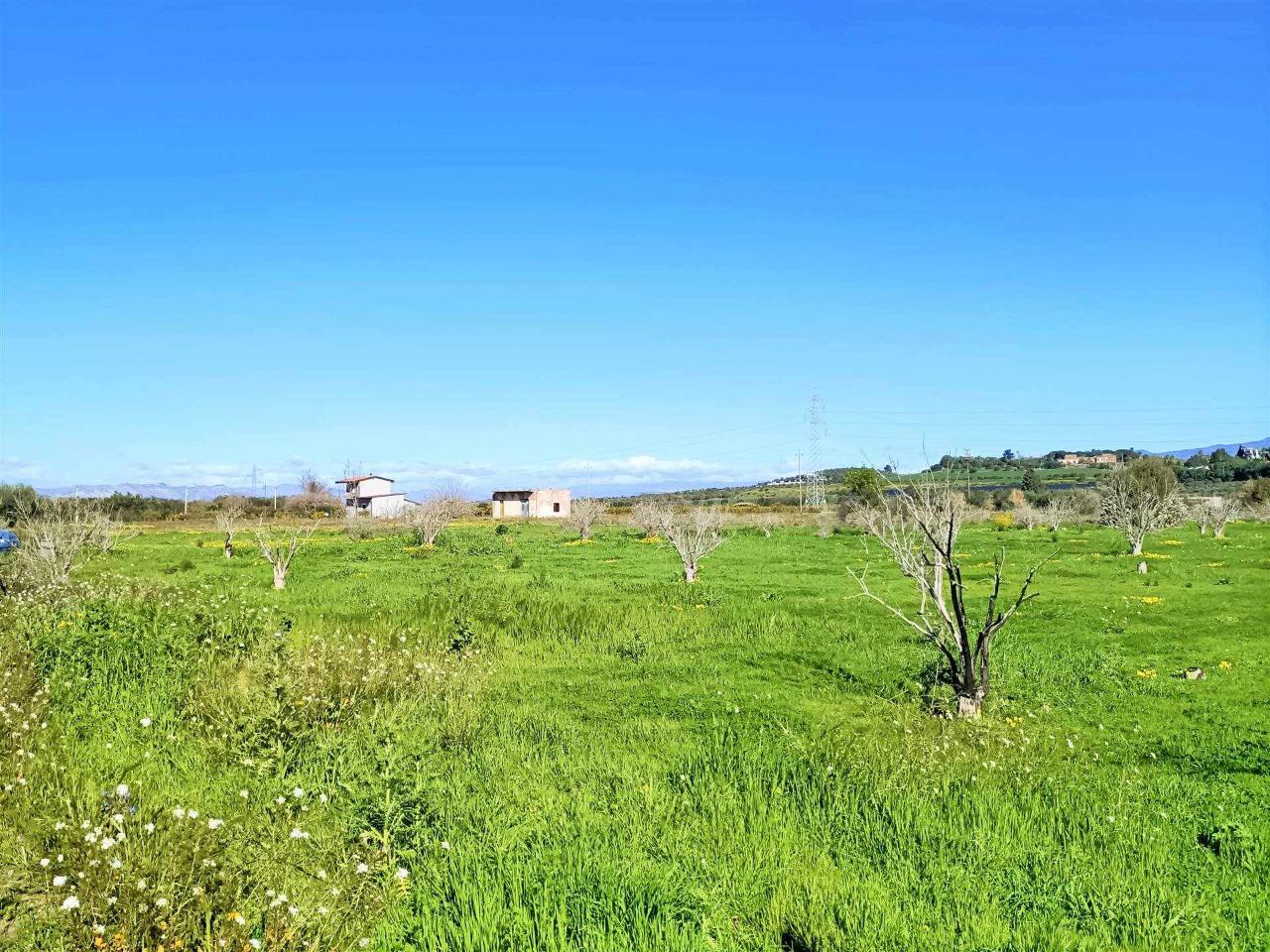 immagine annuncio 8 di 14