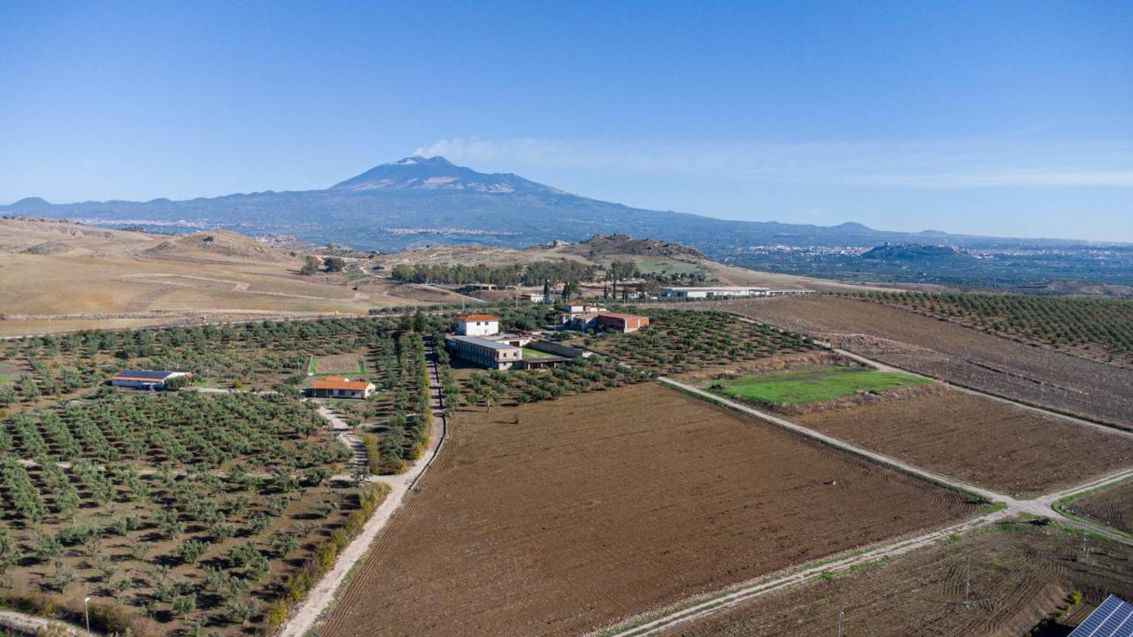 Azienda agricola in Contrada Petulenti, Paterno', {3} - Foto 2