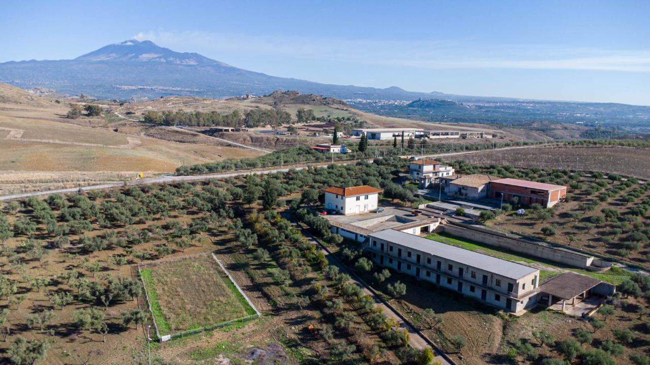 Azienda agricola in Contrada Petulenti, Paterno', {3} - Foto 1