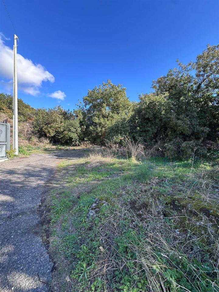 immagine annuncio 4 di 7