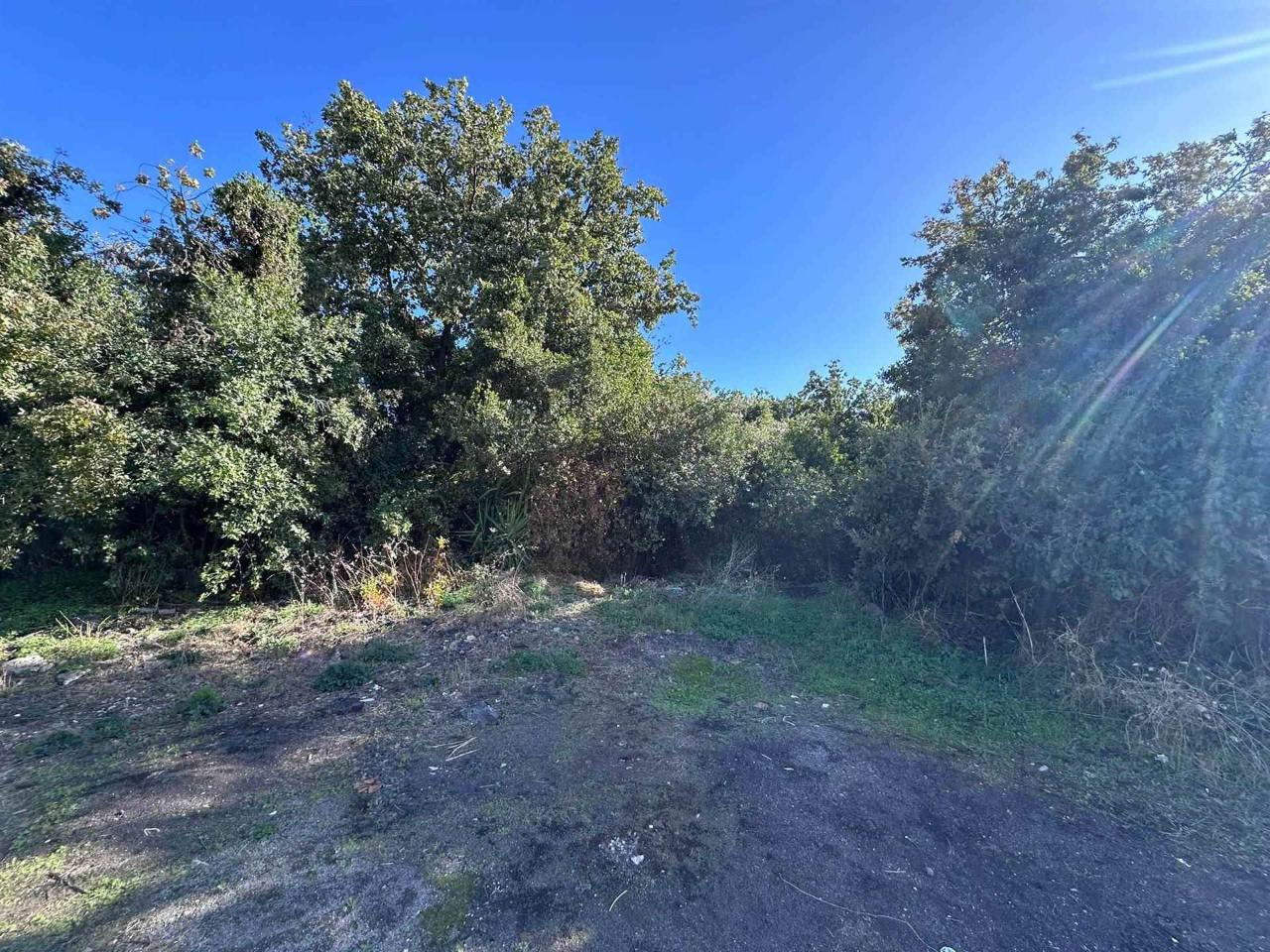 immagine annuncio 3 di 7