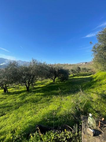 Agricultural land in {3}, Via Ferrara - Photo 1