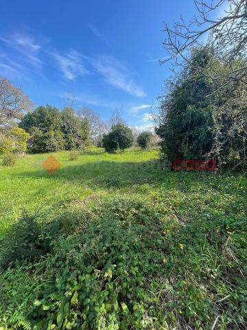 Terreno agricolo in Via Boari, Minturno - Foto 1