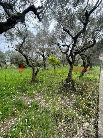 Agrargrundstück in Via Randacci, Santi Cosma e Damiano - Foto 1