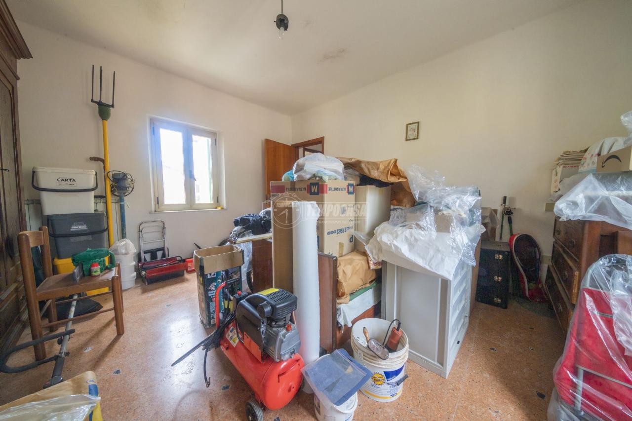 immagine annuncio 7 di 14
