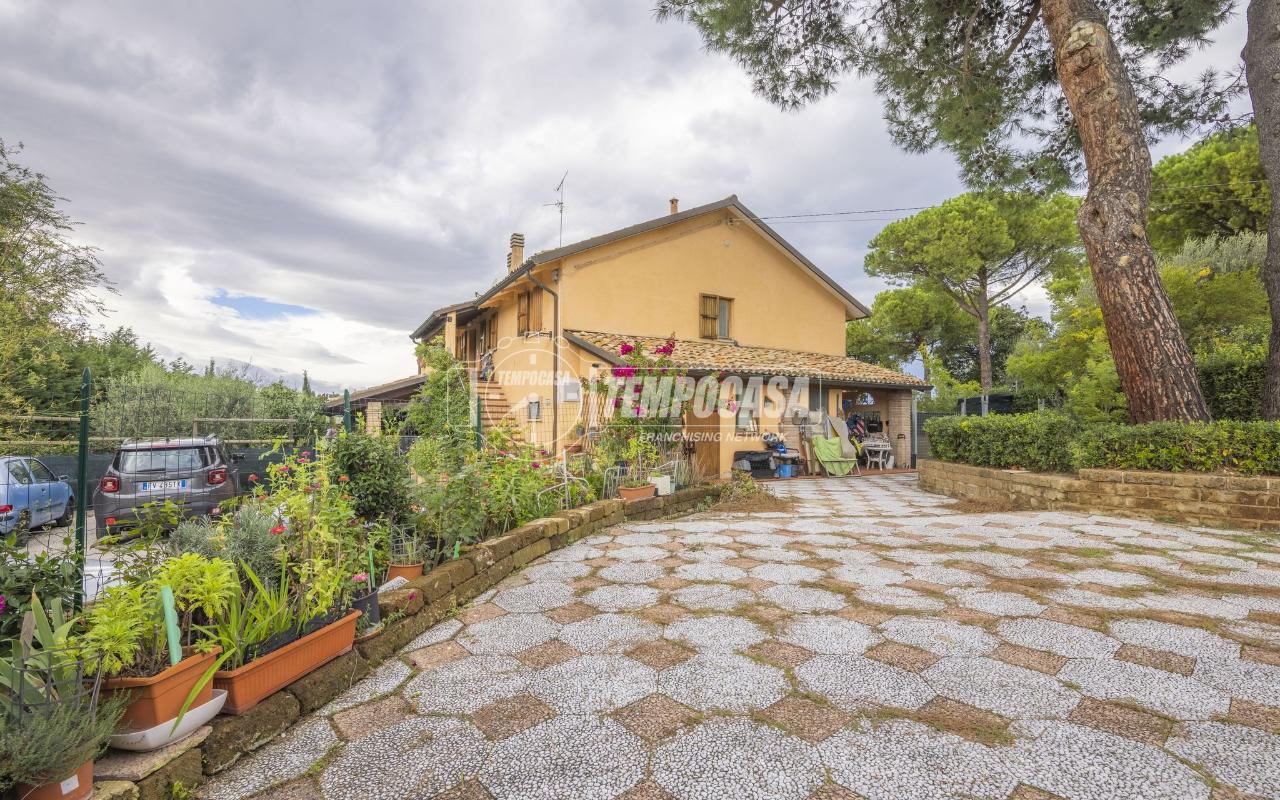 immagine annuncio 12 di 14