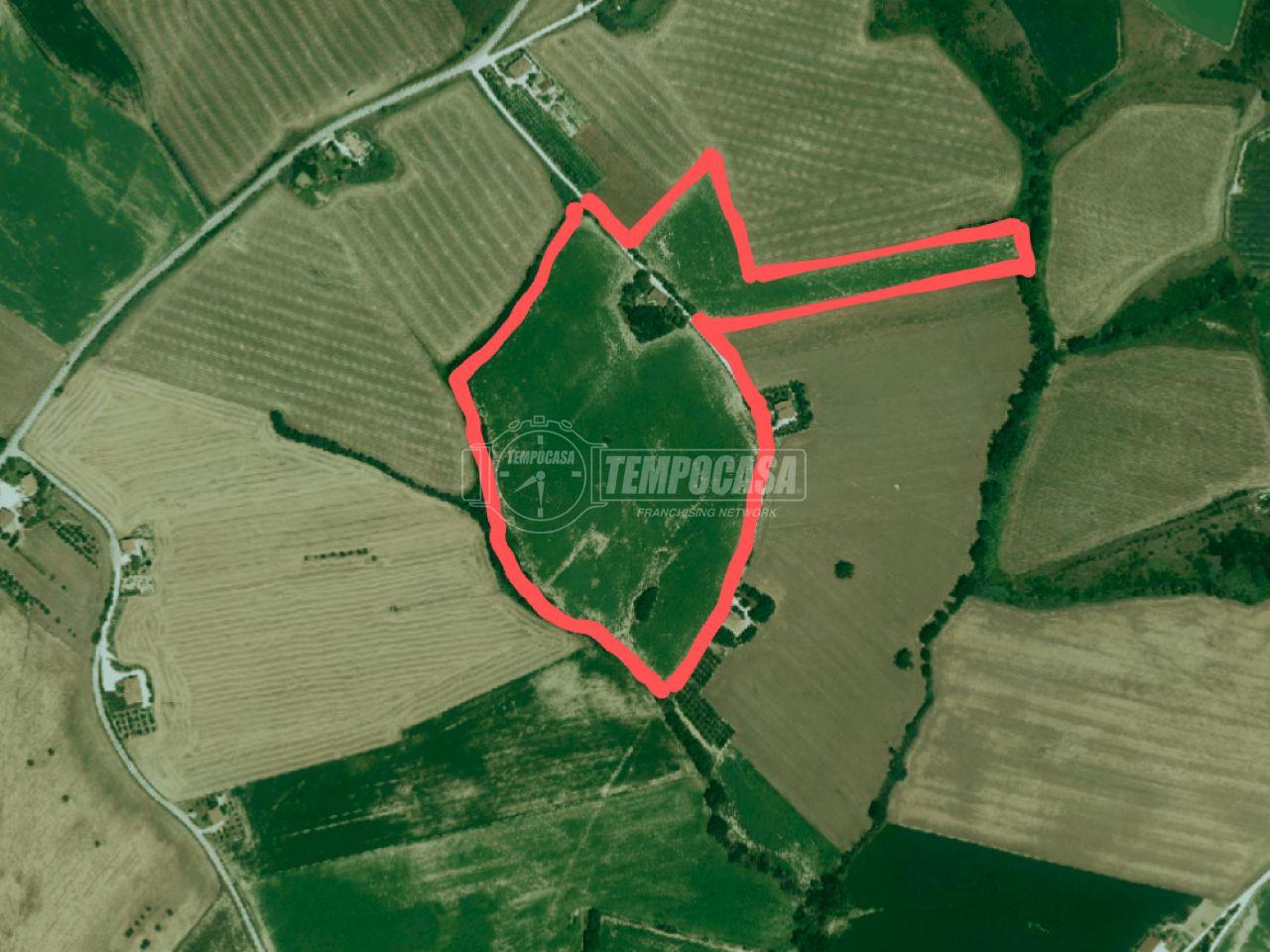 immagine annuncio 8 di 11