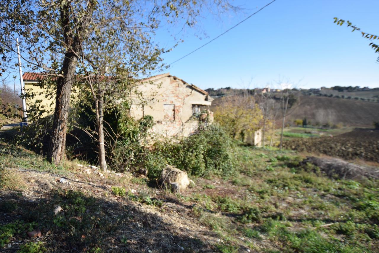 immagine annuncio 7 di 13